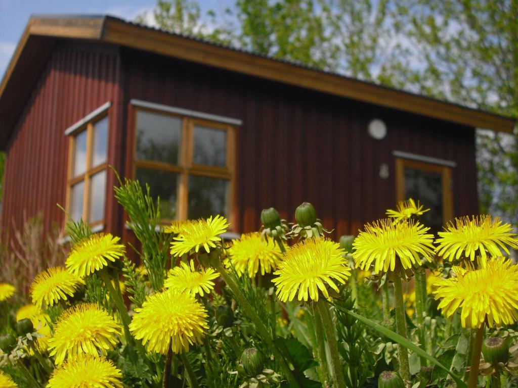 Guesthouse Petursborg Akureyri Quarto foto